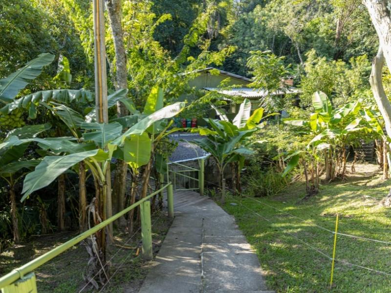 Internação Voluntária em Passo Fundo